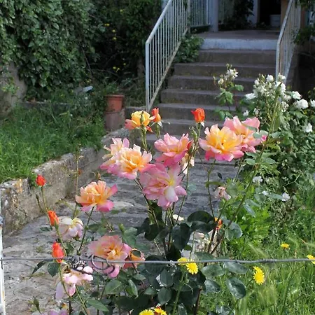 And By The Sea Stari Grad, Hvar - 8788 Pensionat